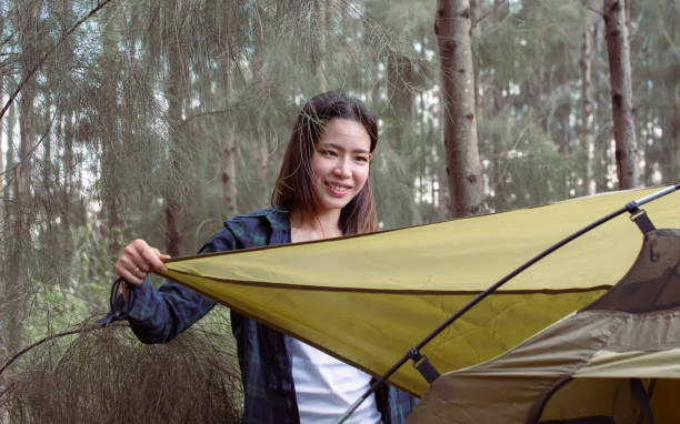 istock Asian woman pitching tent while camping in forest 1316449615