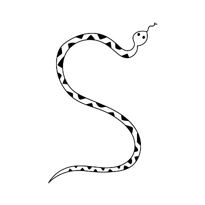 Dangerous snake with geometrical pattern on its skin. Doodle hand drawn vector illustration
