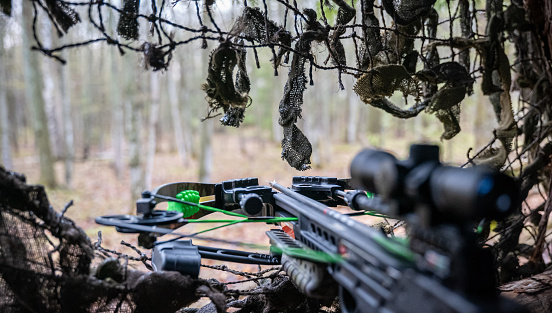 Close up of a crossbow pointing out of a hunting blind in the woods