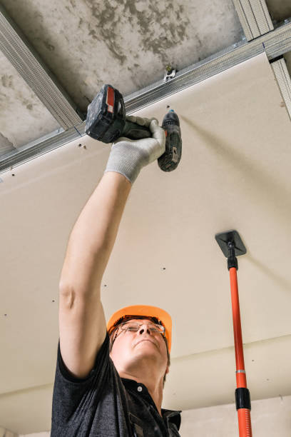 istock Workers are using screws and a screwdriver to attach plasterboard to the ceiling. 1316454098