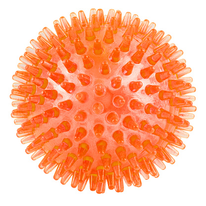 transparent orange spiked plastic ball isolated on white background - massager, dog toy and COVID-19 coronavirus symbol and model