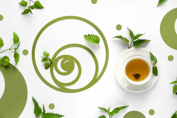 istock Nettle tea cup, stinging nettle herb leaves. Ornate flat lay, green paper Fibonacci sequence circles on off white background. Alternative medicine, herbal remedy concept 1316457309