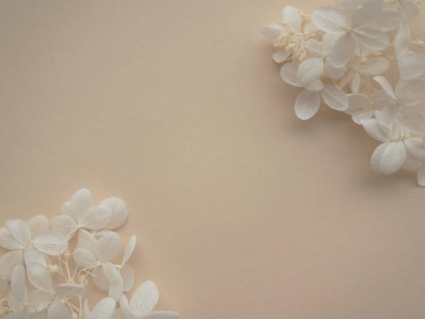 istock Flowers composition. Frame made of white flowers hydrangea on beige background. Valentines day, mothers day and womens day concept. Flat lay, top view. 1316457448