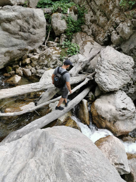 istock Adult Man Crossing a Mountain Stream Over Fallen Tree 1316458537