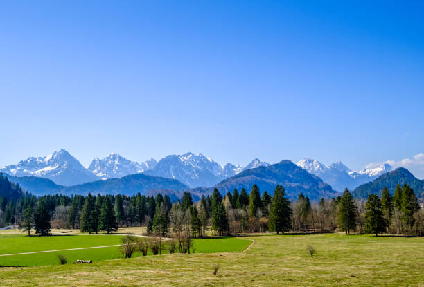 istock landscape near fuessen - bavaria 1316459891