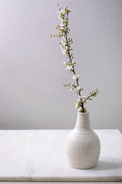 istock Blossom cherry branches in white porcelain vase 1316460256