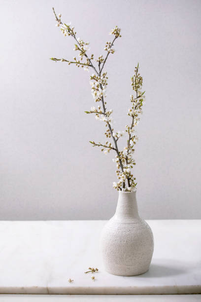 istock Blossom cherry branches in white porcelain vase 1316460275