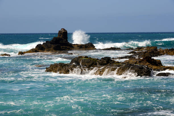 istock wild coast in Portugal 1316461685