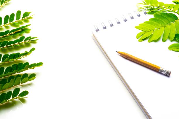 istock Notepad with pencil and green leaves 1316463572