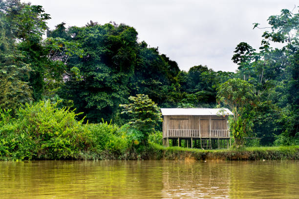 Small house in river stock photo