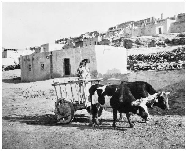 ilustraciones, imágenes clip art, dibujos animados e iconos de stock de fotografía antigua en blanco y negro de monumentos estadounidenses: pueblo laguna, nuevo méxico - anasazi