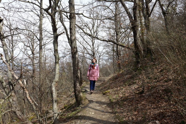 istock Tourist walking trail from Bear mountain 1316472110
