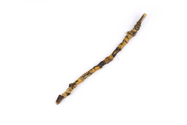 istock wooden stick isolated on white background with copy space. Closeup, top view 1316475677
