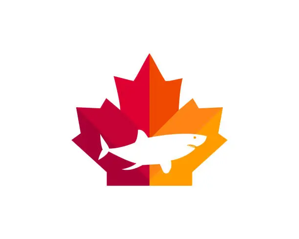 Vector illustration of Maple Shark logo design. Canadian Shark logo. Red Maple leaf with Shark vector