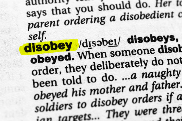 istock Highlighted word disobey concept and meaning 1316477624
