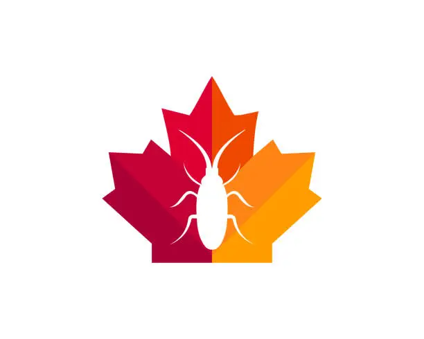 Vector illustration of Maple Seed Insect logo design. Canadian Seed Insect logo. Red Maple leaf with Seed Insect vector