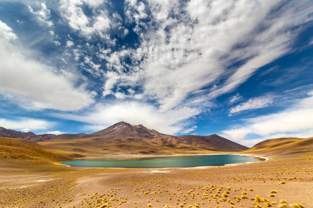 istock Miniques Lagoon in the Atacama Desert, Chile 1316478444