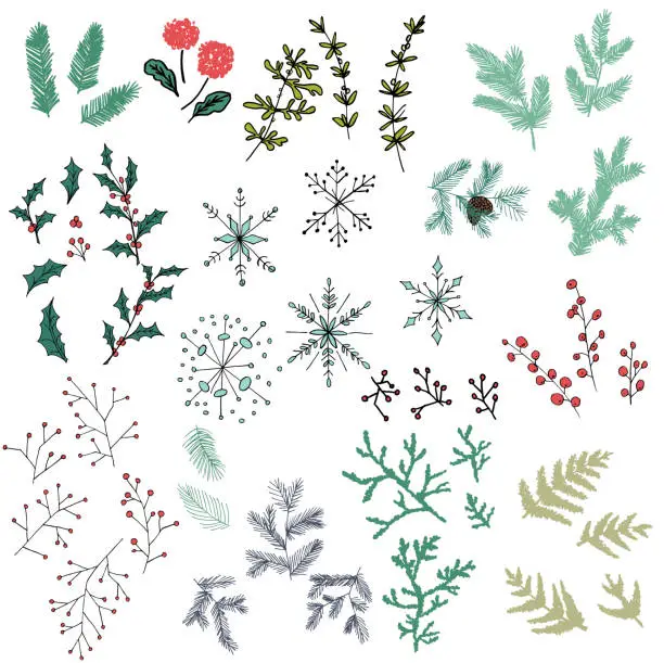 Vector illustration of Delicate Hand Drawn Evergreen Winter Elements