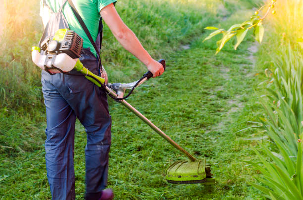 istock The worker cuts the grass with a trimmer. petrol cutter, grass trimmer close-up. 1316480208