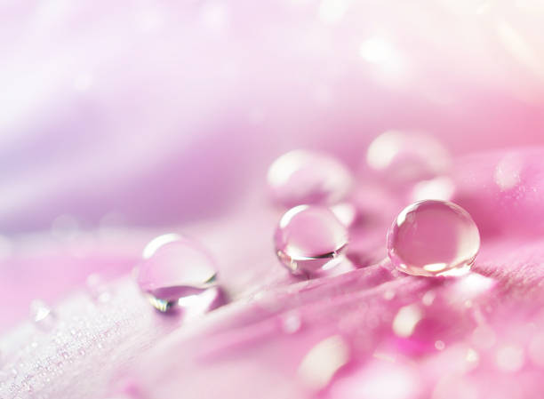 istock Gentle soft elegant airy artistic image with soft focus. 1316481290