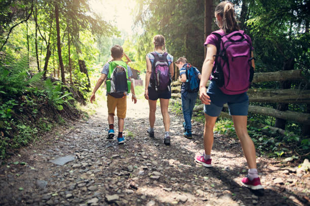 istock Hiking family hiking on the forest path into the spring 1316484614