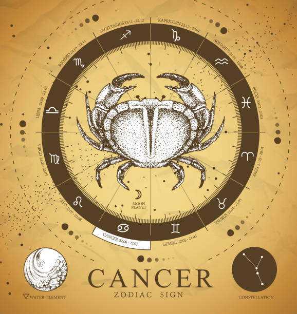 istock Vintage magic witchcraft card with astrology Cancer zodiac sign. Realistic hand drawing crab illustration. Zodiac characteristic 1316484939