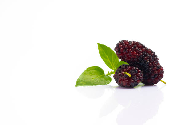istock Ripe and delicious  black mulberry on white background. 1316486400