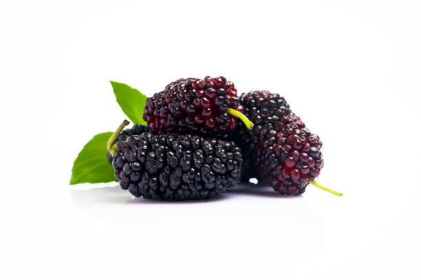 Ripe and delicious  black mulberry on white background. Ripe and delicious  black mulberry on white background. dewberry stock pictures, royalty-free photos & images