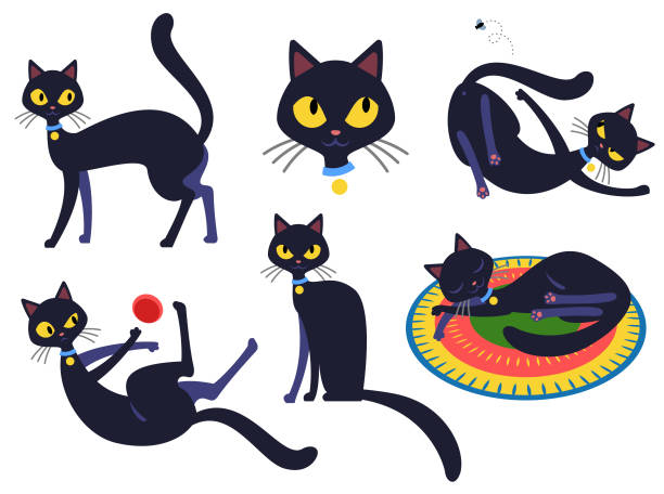 Funny Cat Character Set 2 Stock Illustration - Download Image Now -  Domestic Cat, Black Color, Cartoon - iStock