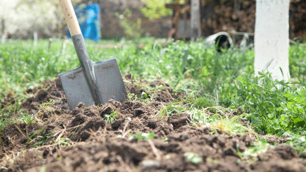 istock Shovel in soil in the garden. 1316487653