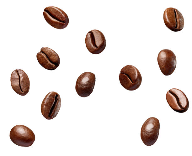 istock coffee bean brown roasted caffeine espresso seed 1316488128