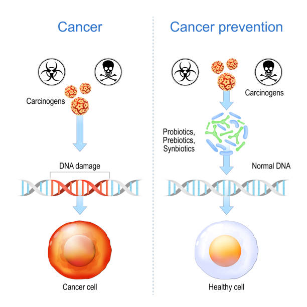 illustrations, cliparts, dessins animés et icônes de probiotiques, prébiotiques et synbiotiques sont la prévention du cancer - mutation génétique