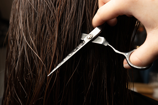 Hands of a hairdresser with scissors next to the hair. Barber, tool, care, wet, beauty salon, haircut, professional