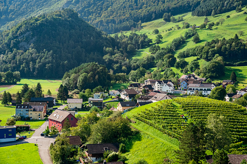 Outskirts of Balzers, a village located in southern Liechtenstein. On the hill, farmers are working in the vineyard.
