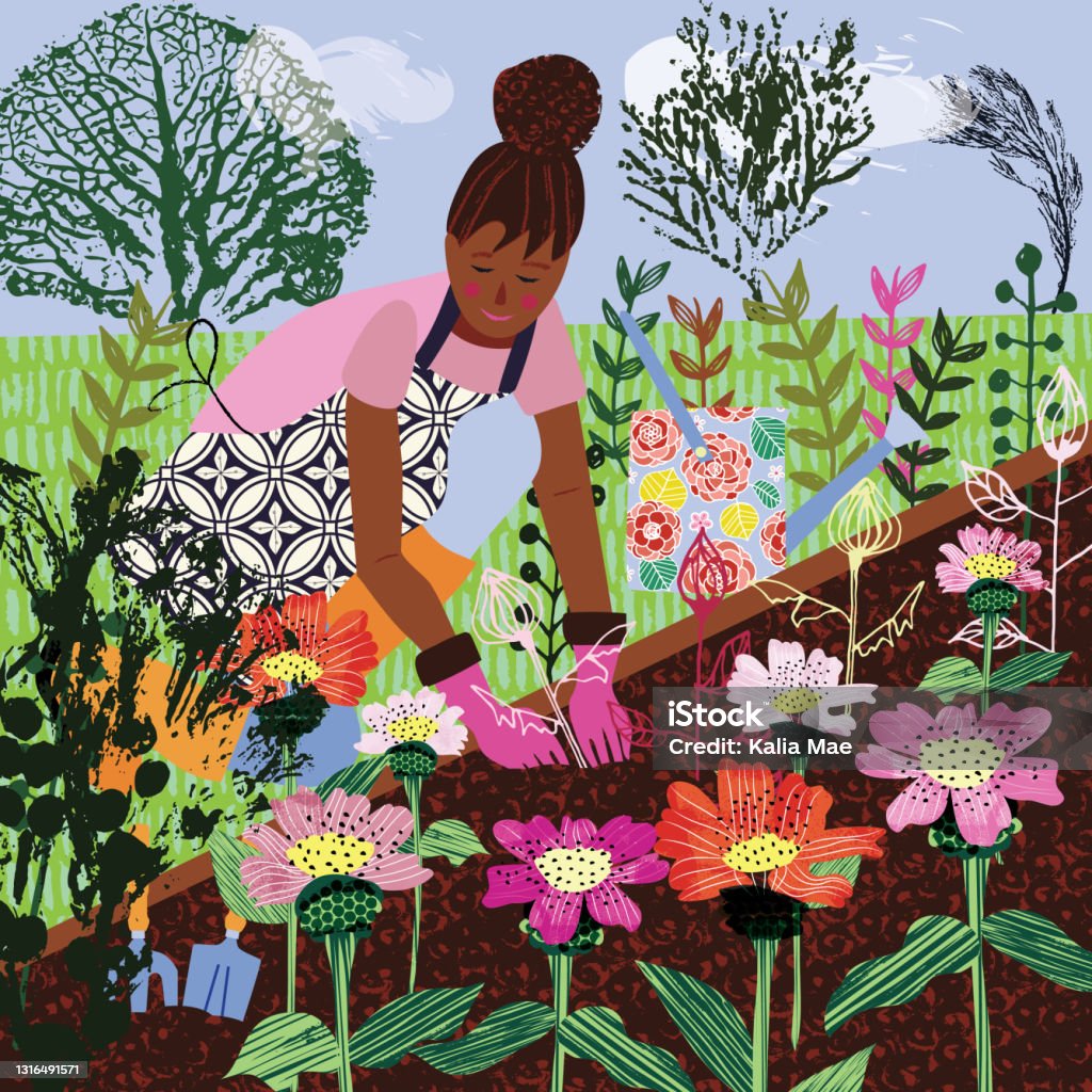 Gardening vector illustration of woman planting flowers in her garden. Gardening vector illustration of woman planting flowers in her garden. Colorful textured design People stock vector