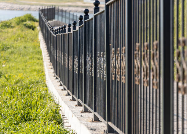 istock Black wrought iron fence railings and grasses 1316492386