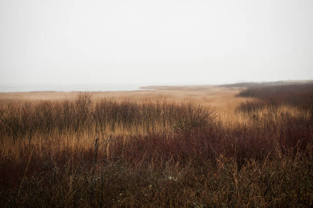 istock Beaches and roads on Sylt 1316494608