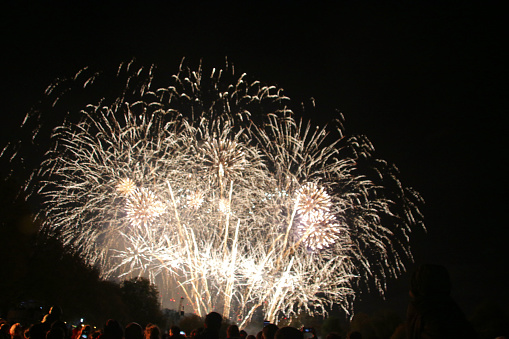 Fireworks at Battersea Park in London in 2019