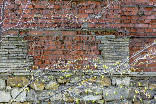 istock Embossed texture of old facade brick wall 1316497058