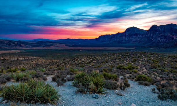 istock Sunset Upon Desert Valley Floor before the Spring Mountain Range Red Rock Canyon 1316497145
