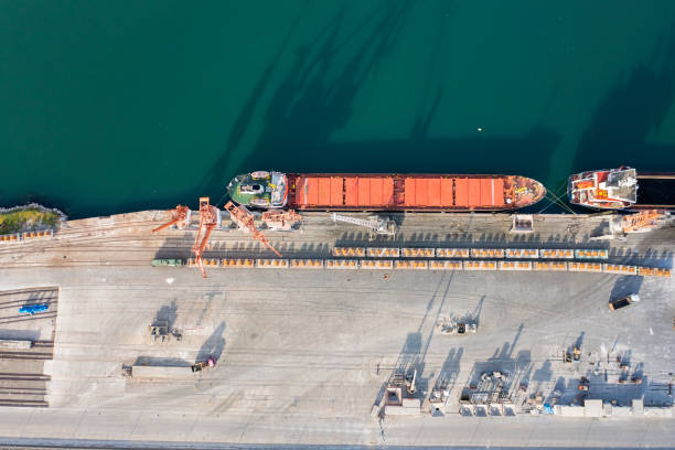 istock Cargo ship unloading of coal in a commercial port. 1316500394