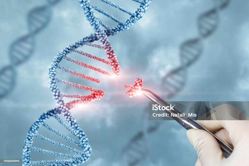 Concept of treatment and adjustment of DNA . Concept of treatment and adjustment of DNA molecule. DNA Stock Photo