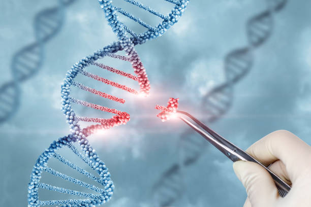 Concept of treatment and adjustment of DNA . stock photo