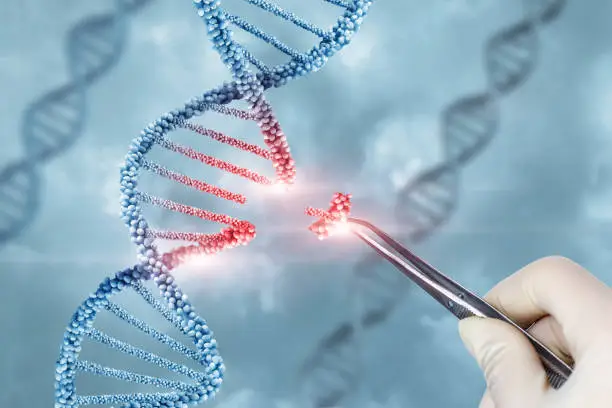 Photo of Concept of treatment and adjustment of DNA .