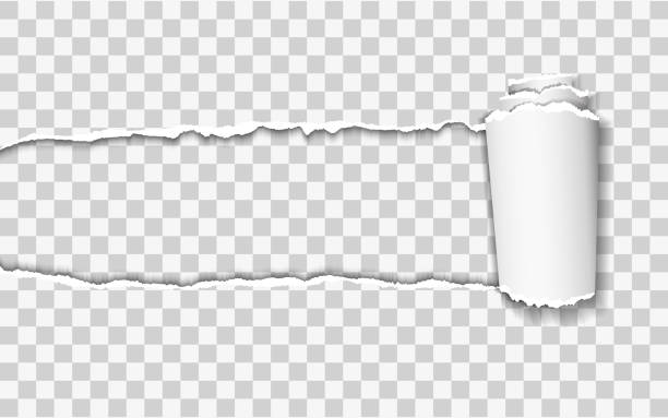 ilustrações de stock, clip art, desenhos animados e ícones de vector illustration of ripped paper with transparent background - cut or torn paper paper torn curled up