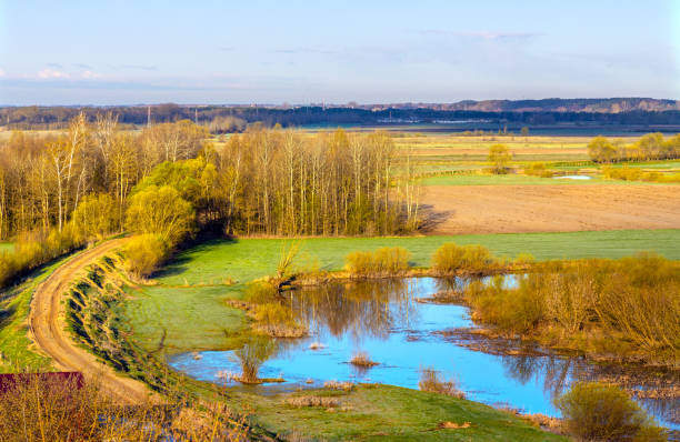 Narew river valley wetlands and nature reserve in Podlaskie voivodship in Poland stock photo