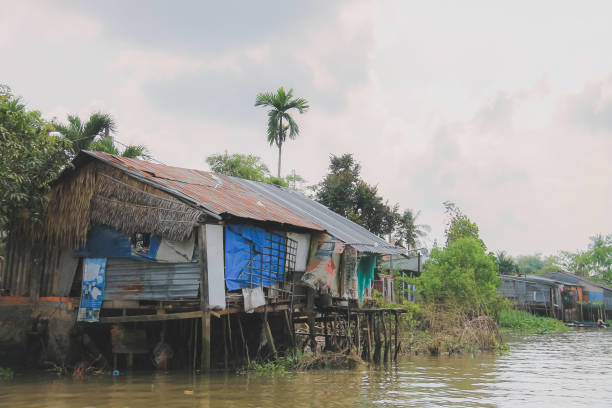 istock Riverside Stilt House, Vietnam 1316504114