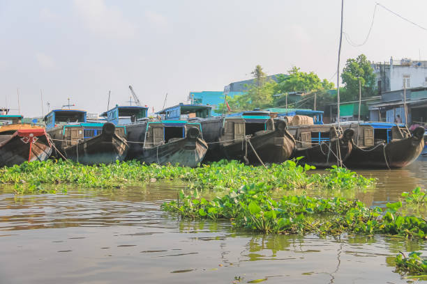 istock Mekong Delta, Vietnam 1316504574