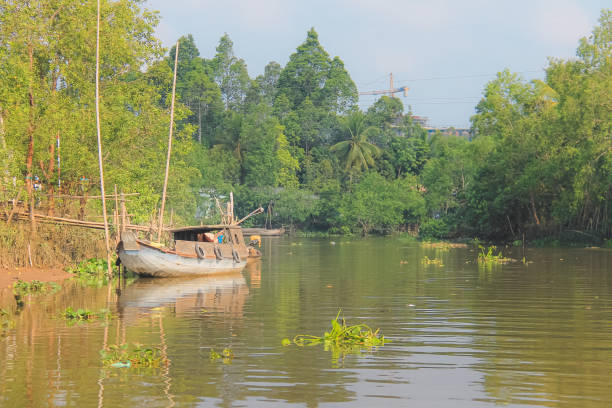 istock Mekong Delta, Vietnam 1316504597