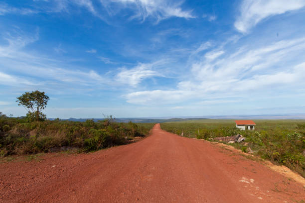 istock Dirt Road in Brazil 1316506068